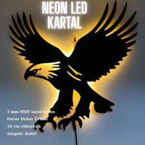 ışıklı kartal hediye