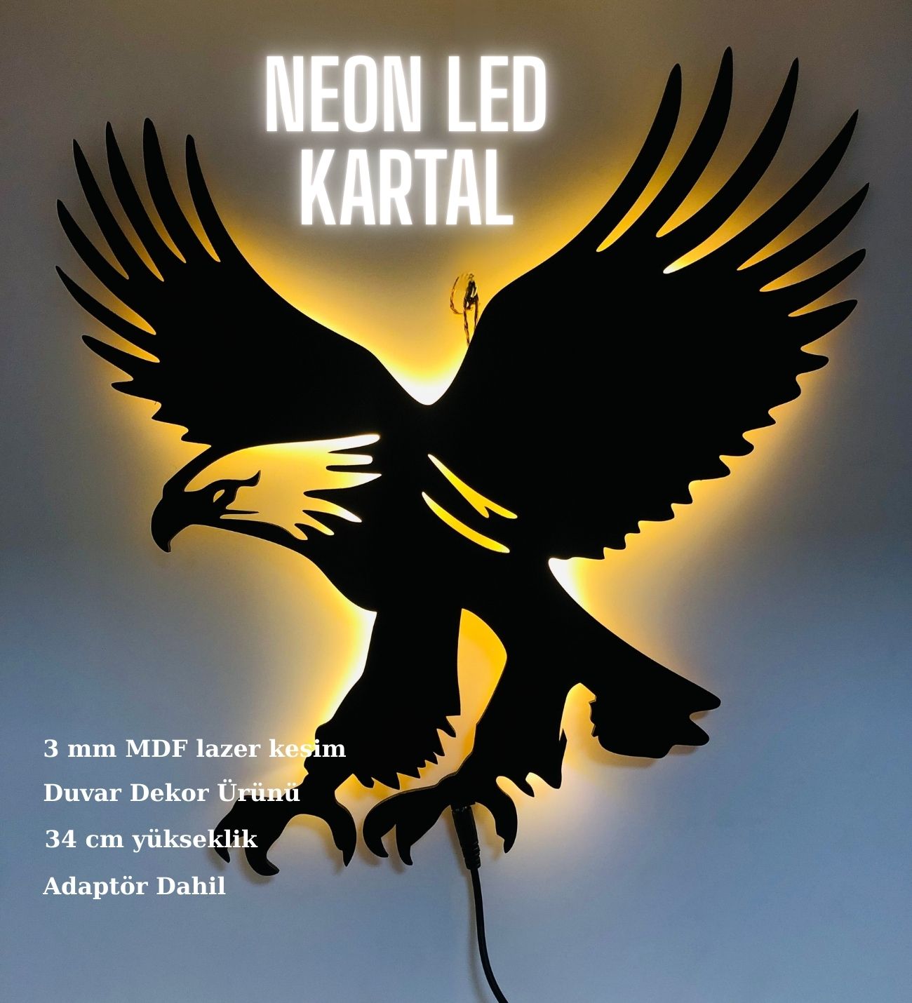 ışıklı kartal hediye
